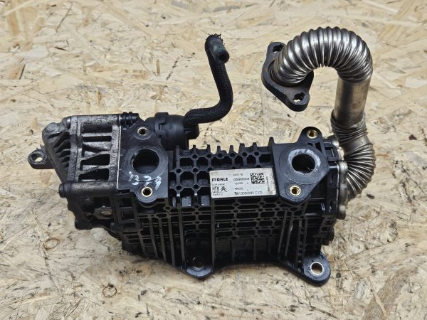 20251215_101124 Citroen EGR jahuti 9813050280
