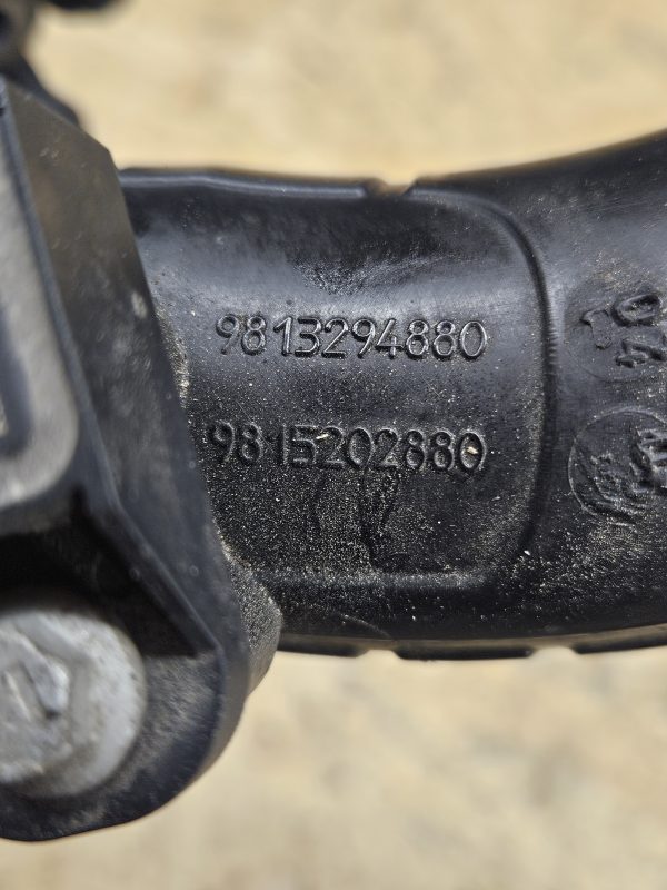 20251215_101748 Citroen sisselasketoru 9813294880