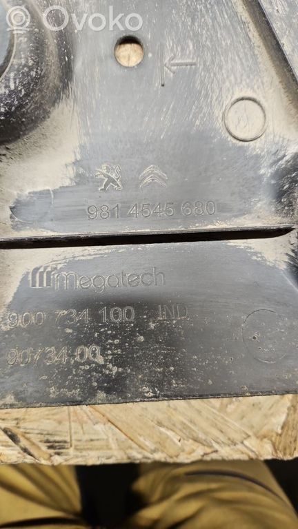 Citroen Berlingo Side bottom protection