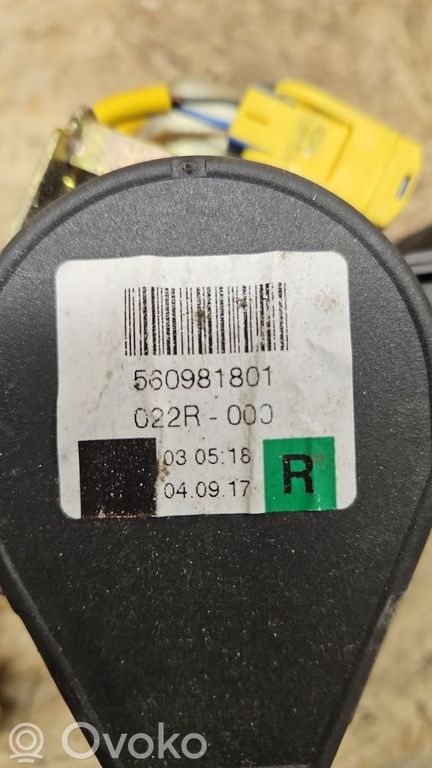 Volkswagen Touareg I Rear seatbelt