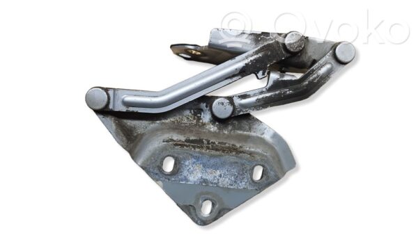 Volkswagen Touareg I Engine bonnet/hood hinges