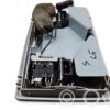 Audi A6 S6 C5 4B Front seat light