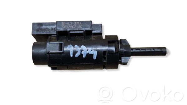 rrr-part-446-c6cb2f0d78e436b86785bdf18a16ddb1 Citroen Berlingo Piduripedaali andur