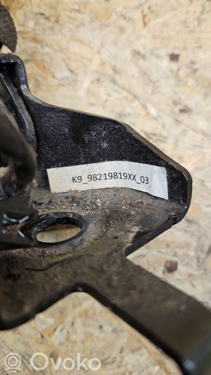 Citroen Berlingo Rear seatbelt buckle