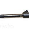 Citroen Berlingo Fuel injector