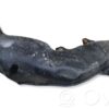 Lexus IS 220D-250-350 Air intake duct part