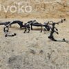 rrr-part-2152-928160463da7f832c7682982c77acbc6 Jeep Grand Cherokee Engine installation wiring loom