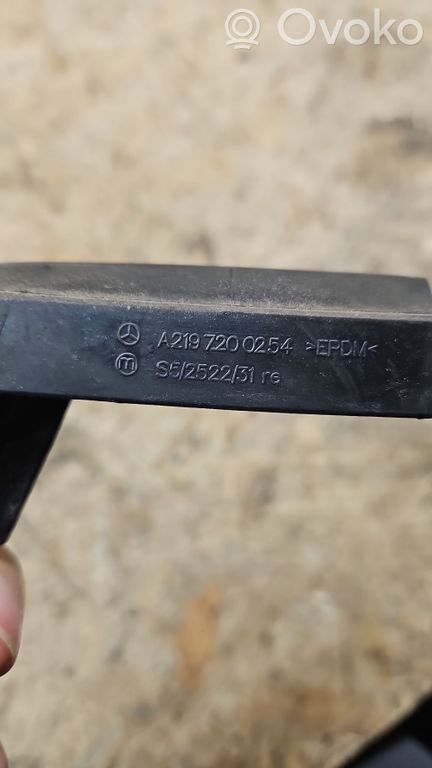 Mercedes-Benz CLS C219 Front door rubber seal