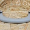 Mercedes-Benz CLS C219 Front interior roof grab handle