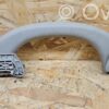 rrr-part-2597-c120fb23a664497aa2ace66a30d7a610 Mercedes-Benz CLS C219 Rear interior roof grab handle