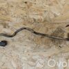 rrr-part-3139-9ffec615c4598a9105491a7fd9598620 BMW 5 E60 E61 Fuel injector supply line/pipe