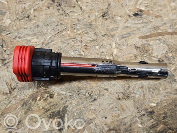 rrr-part-3177-a3ecce8a4c3d04a7b53038b07c88b58f Audi A6 S6 C6 4F Kõrgepinge süütepool