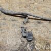 rrr-part-3224-6b812c9efa863c488f786f1d4a94f1fd Ford Galaxy Parkimisanduri (PDC) juhtmestik