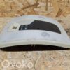 Volvo V70 Front seat light