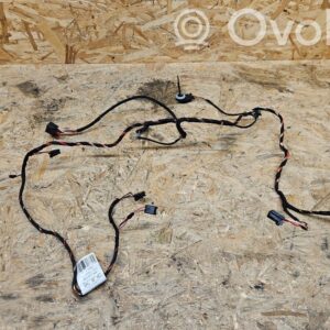 Audi S5 Other wiring loom