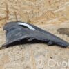 rrr-part-3567-7e695ac47da59ec77ed746af41b0a80e Volkswagen Touareg I Eesmiste udutulede iluvõre/liistud